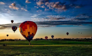 f0a07ada a289 44d1 937a 45704968f333