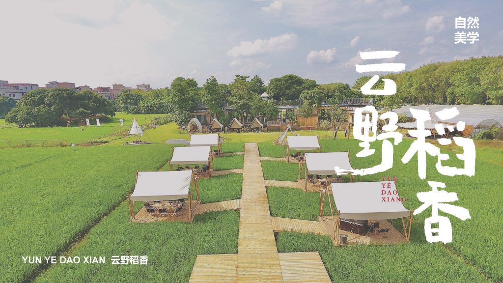 云野稻香简介20241102(1) 页面 01