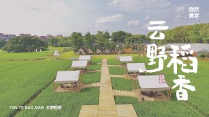 云野稻香简介20241102(1) 页面 01