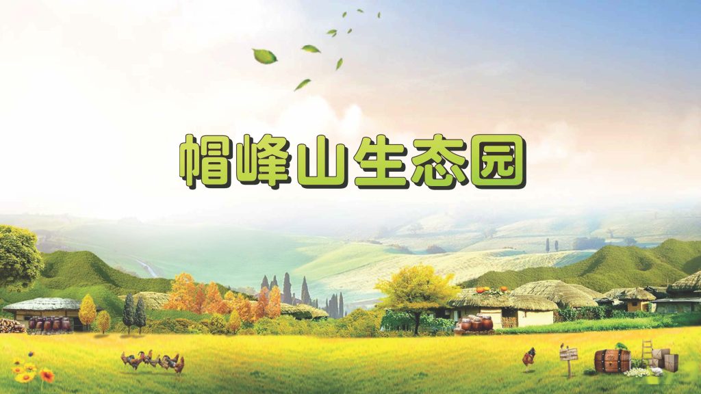 广州大参林医药集团股份有限公司《合同回传》 页面 3 页面 1